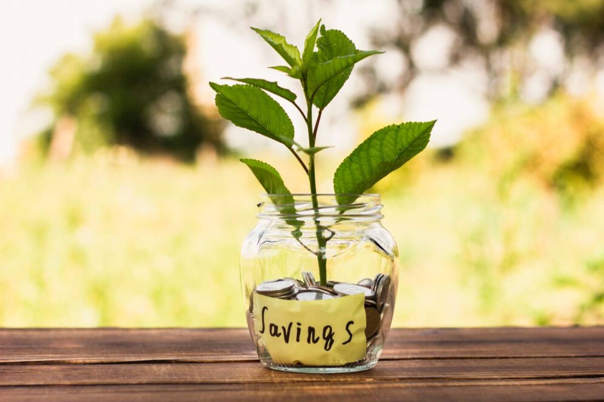 A glass jar filled with coins and labelled savings, with a plant growing out of it on a wooden surface.